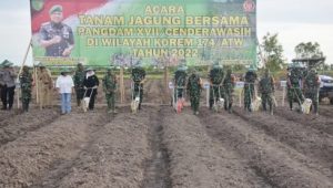 Pangdam XVII/Cenderawasih Tinjau Lokasi Program Ketahanan Pangan Korem 174 Merauke