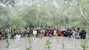 Telkom Dorong Konservasi Bekantan dan Mangrove di Tarakan Lewat Bumi Berseru Fest